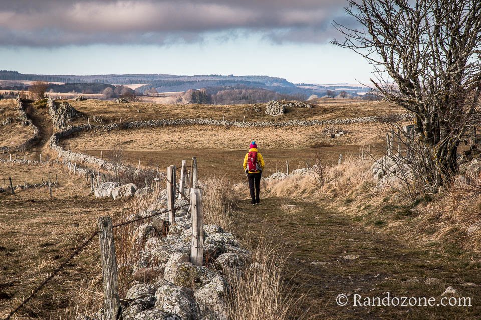 Sentier typique de l'Aubrac