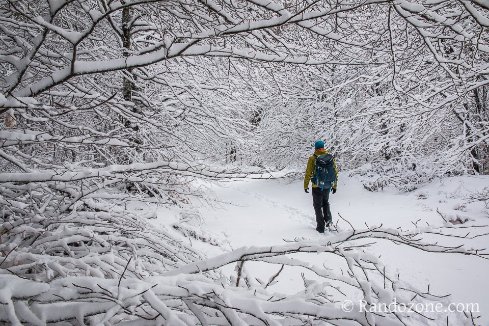 Balade dans la neige en Aubrac