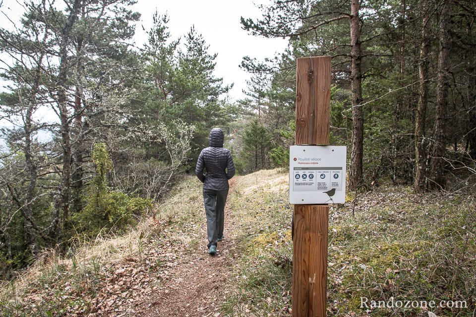 Panneaux informatifs le long de la randonnée Panneaux informatifs le long de la randonnée