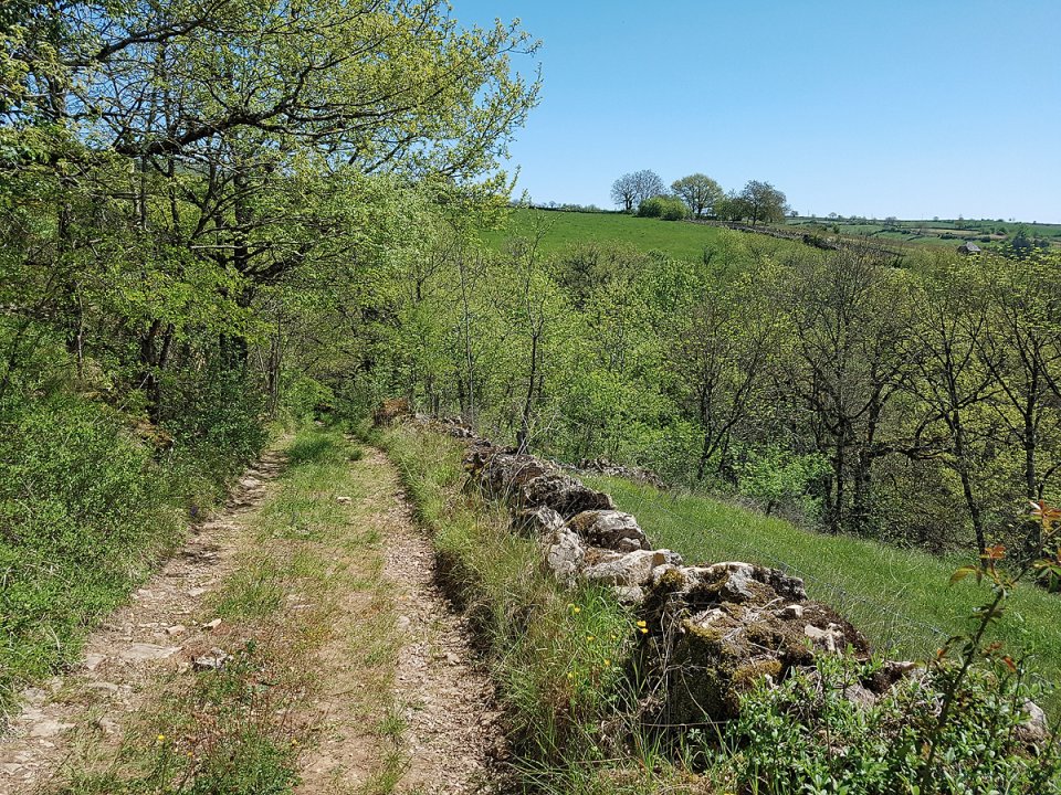 Sur le chemin qui longe le pr�s