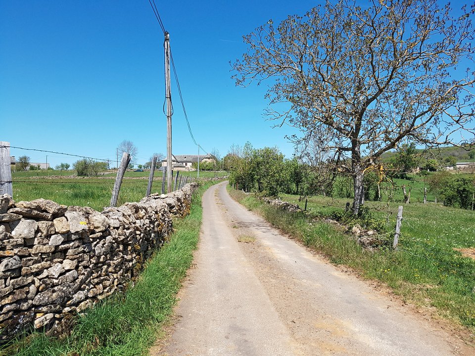 Sur la route qui va � la ferme