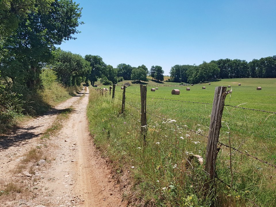 Le chemin que l'on emprunte longe les prs