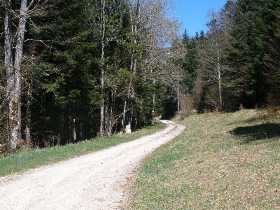 Combe Laval