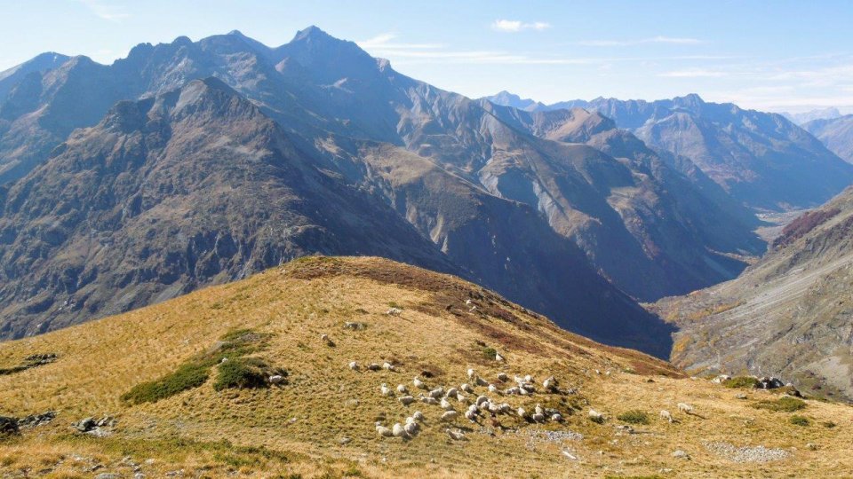 Le beau plateau