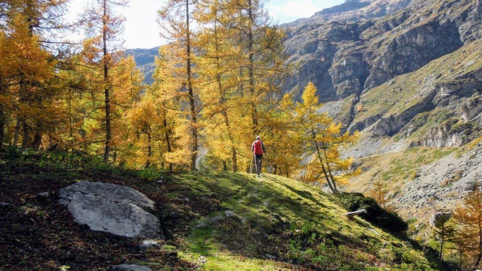 Vers la cabane du Gioberney
