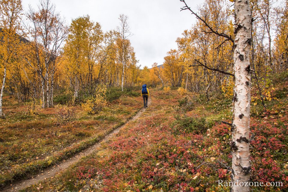 Sur le sentier depuis Nikkaluokta