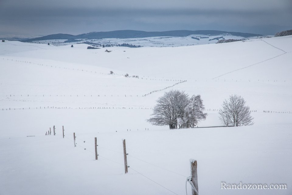 Paysage dsertique de l'Aubrac sous la neihe