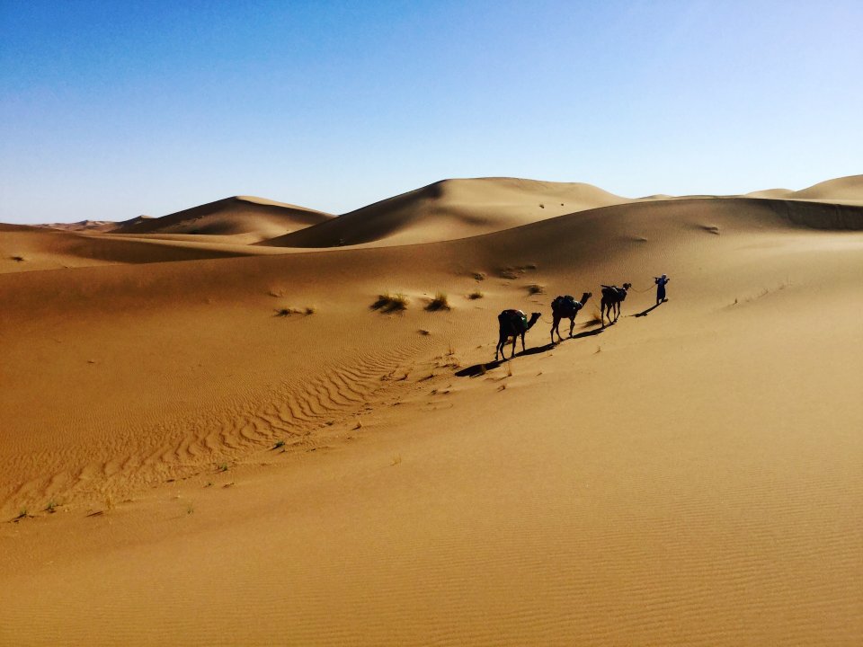 Voyage d�sert Maroc
