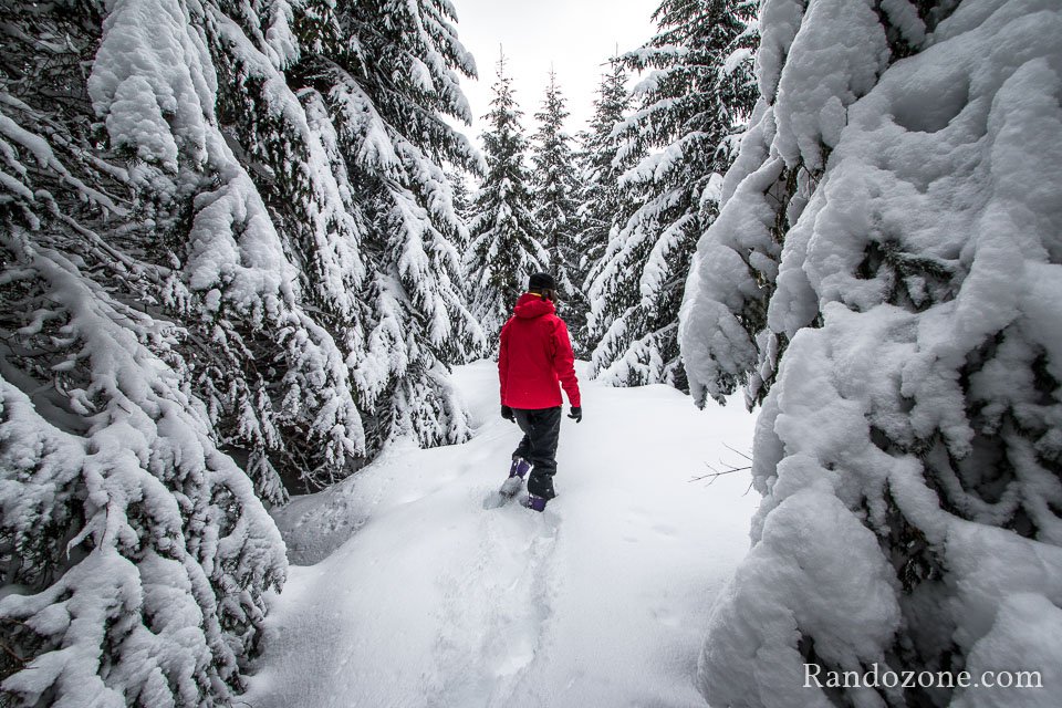 Paysage fantastique avec beaucoup de neige