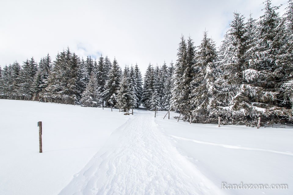Passage sur les pistes de raquettes  neige de Sainte Urcize