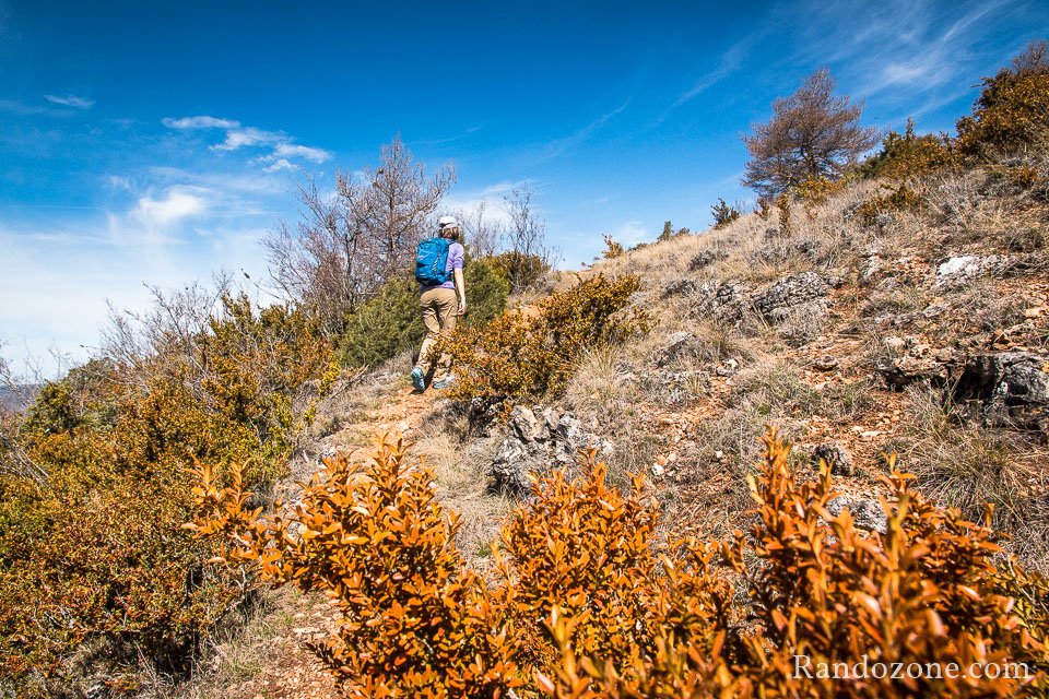 De trs belles couleurs durant la monte