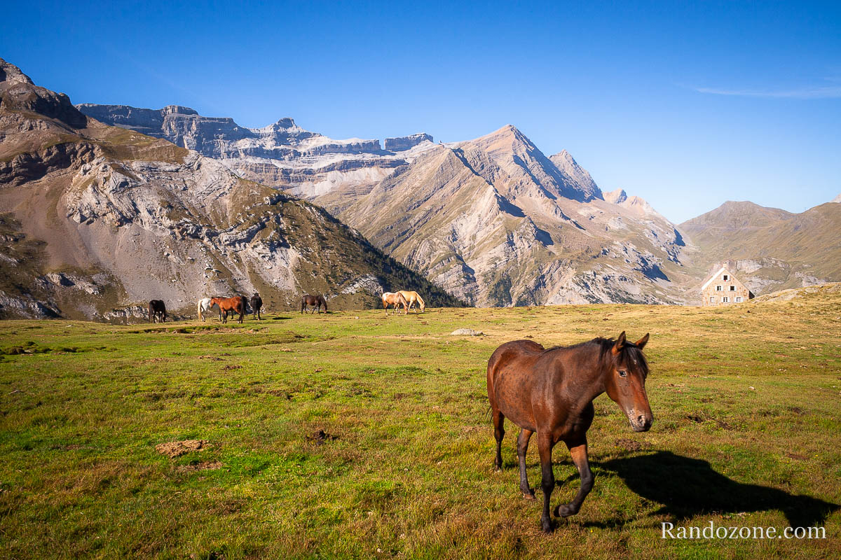 Chevaux, refuge des Espuguettes et cirque de Gavarnie