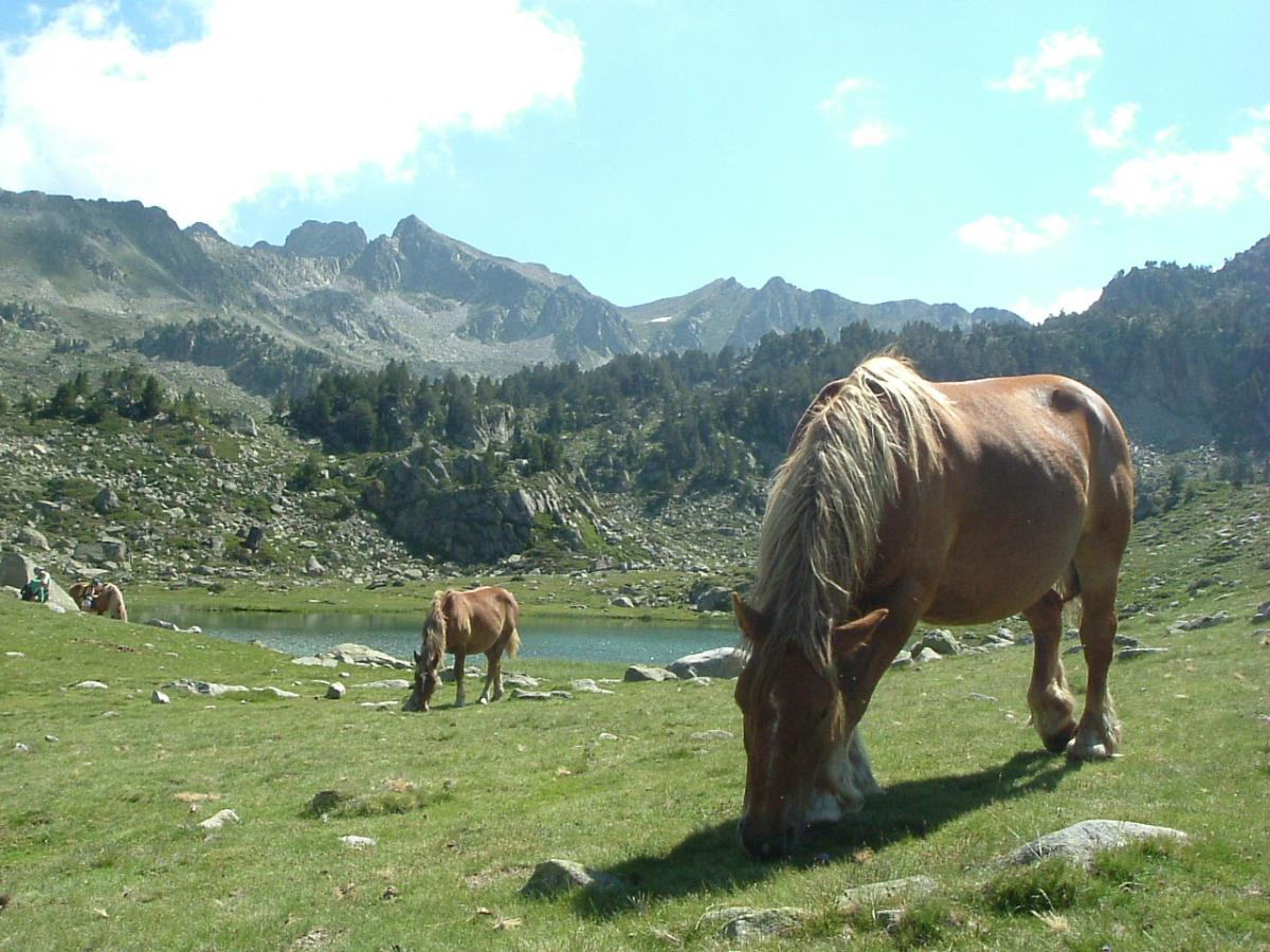 Pic d'Aygues-Cluses