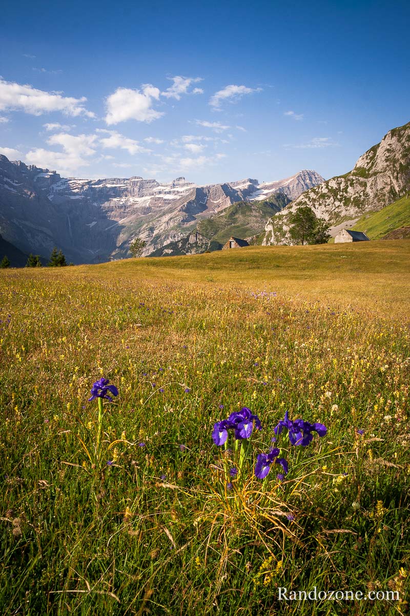 Plateau de Saugu