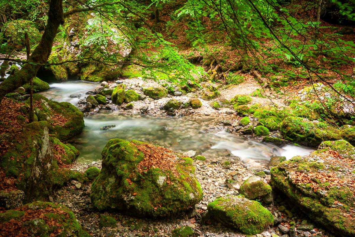 Cours d'eau dans la for&ecirc;t au cirque de Saint M&ecirc;me