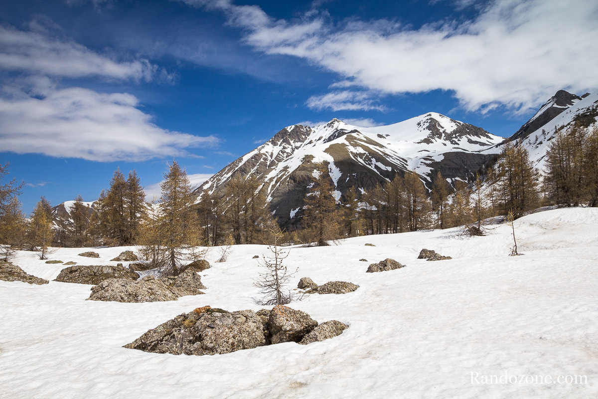 Mont Pelat depuis le lac d'Allos