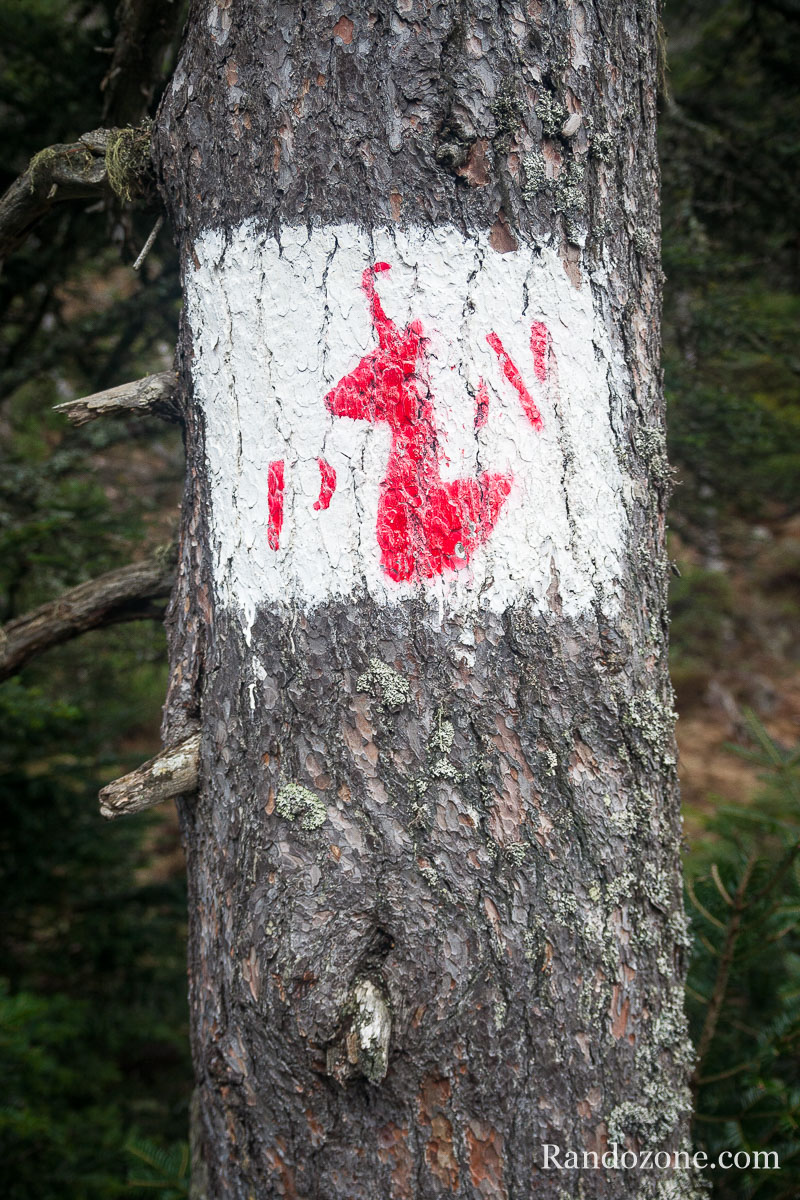 Marquage du Parc National des Pyrnes
