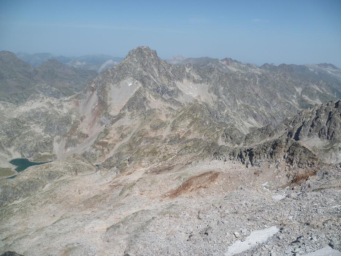 Frondella Occidental