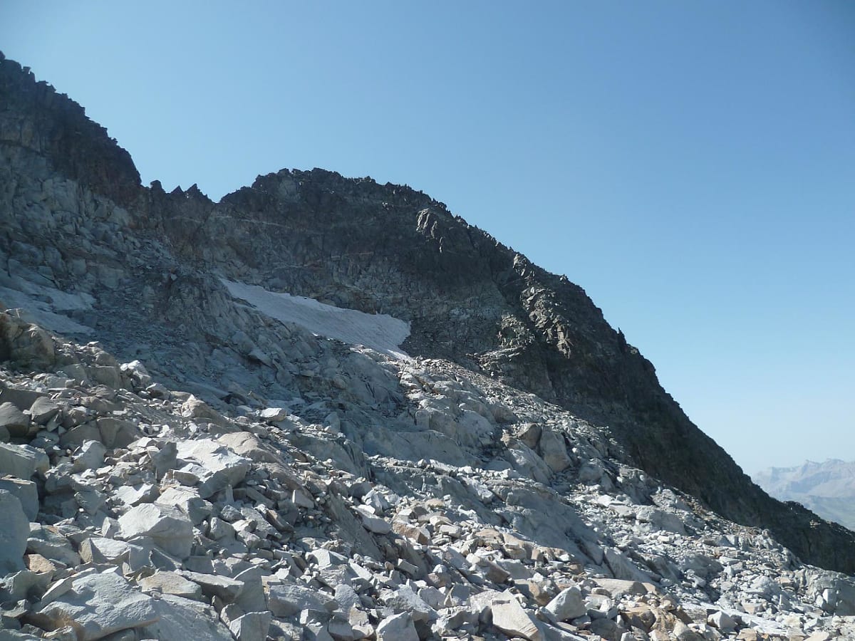 Frondella Occidental