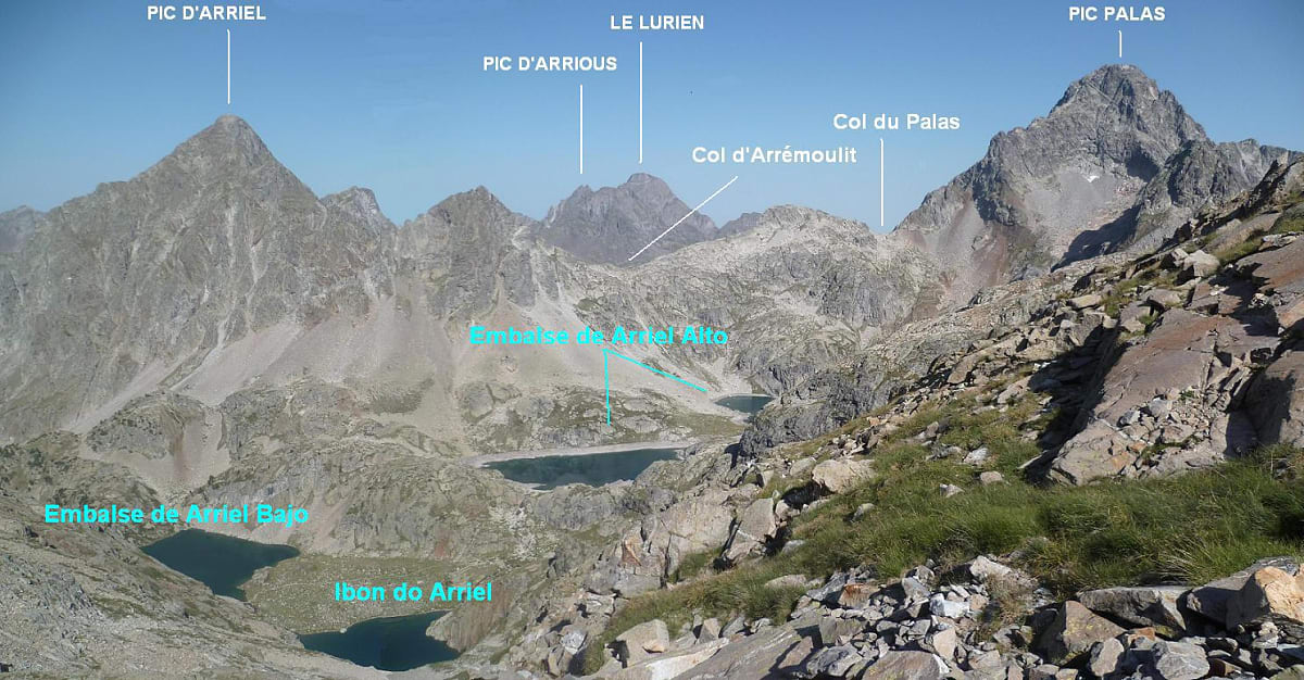 Frondella Occidental