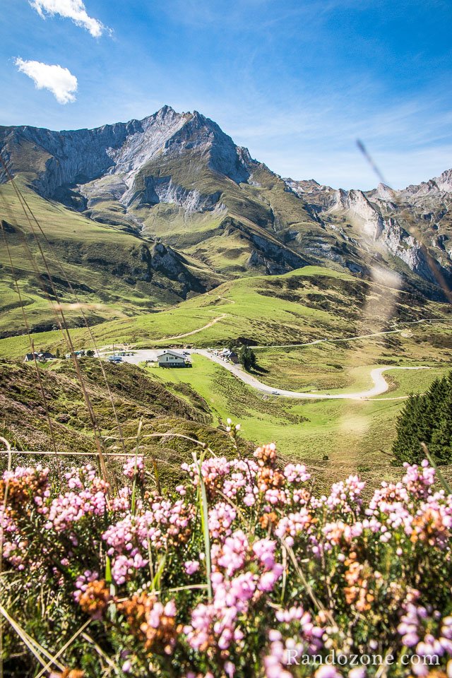 Fleurs et col du Soulor