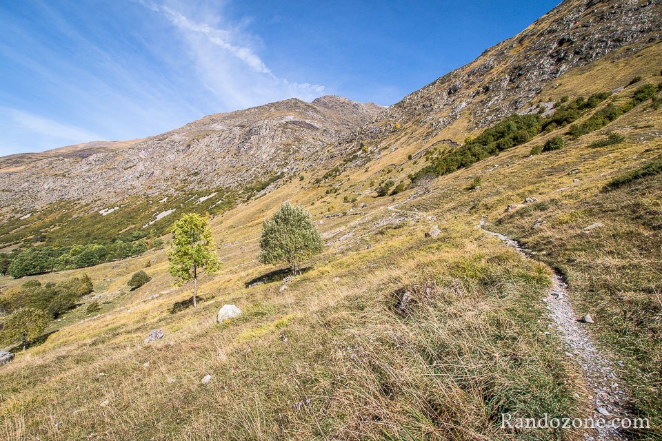 Dbut de la monte
