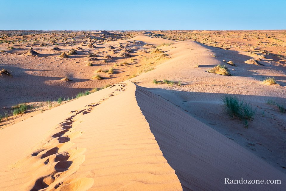 Du sable aussi loin que porte le regard