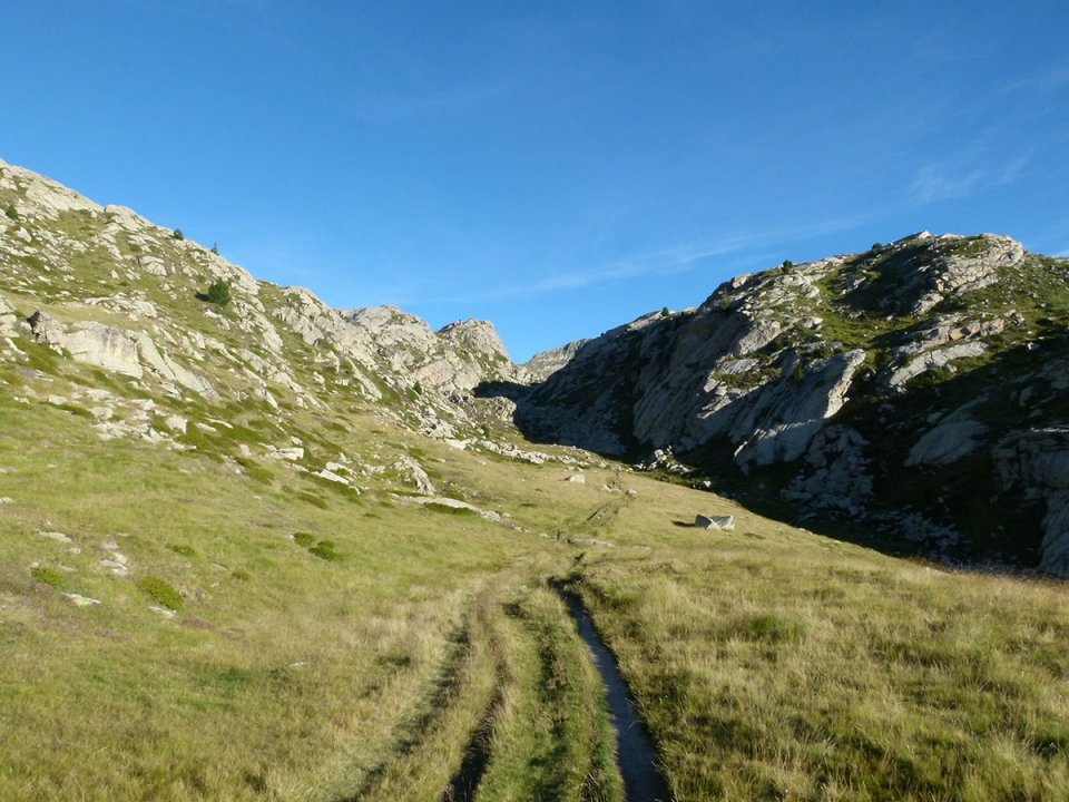Pelouse bord de Estany Llong
