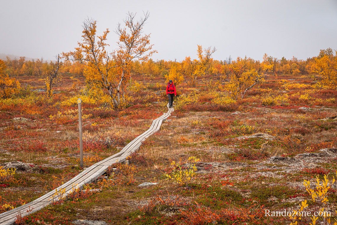 Randonne dans le parc d'Abisko en Sude