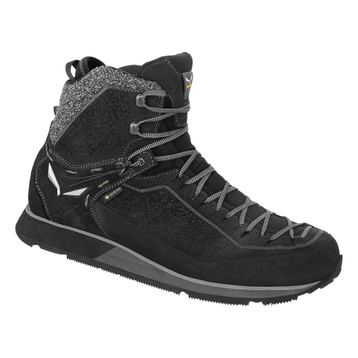Salewa Mountain Trainer 2 Winter GTX mod�le homme