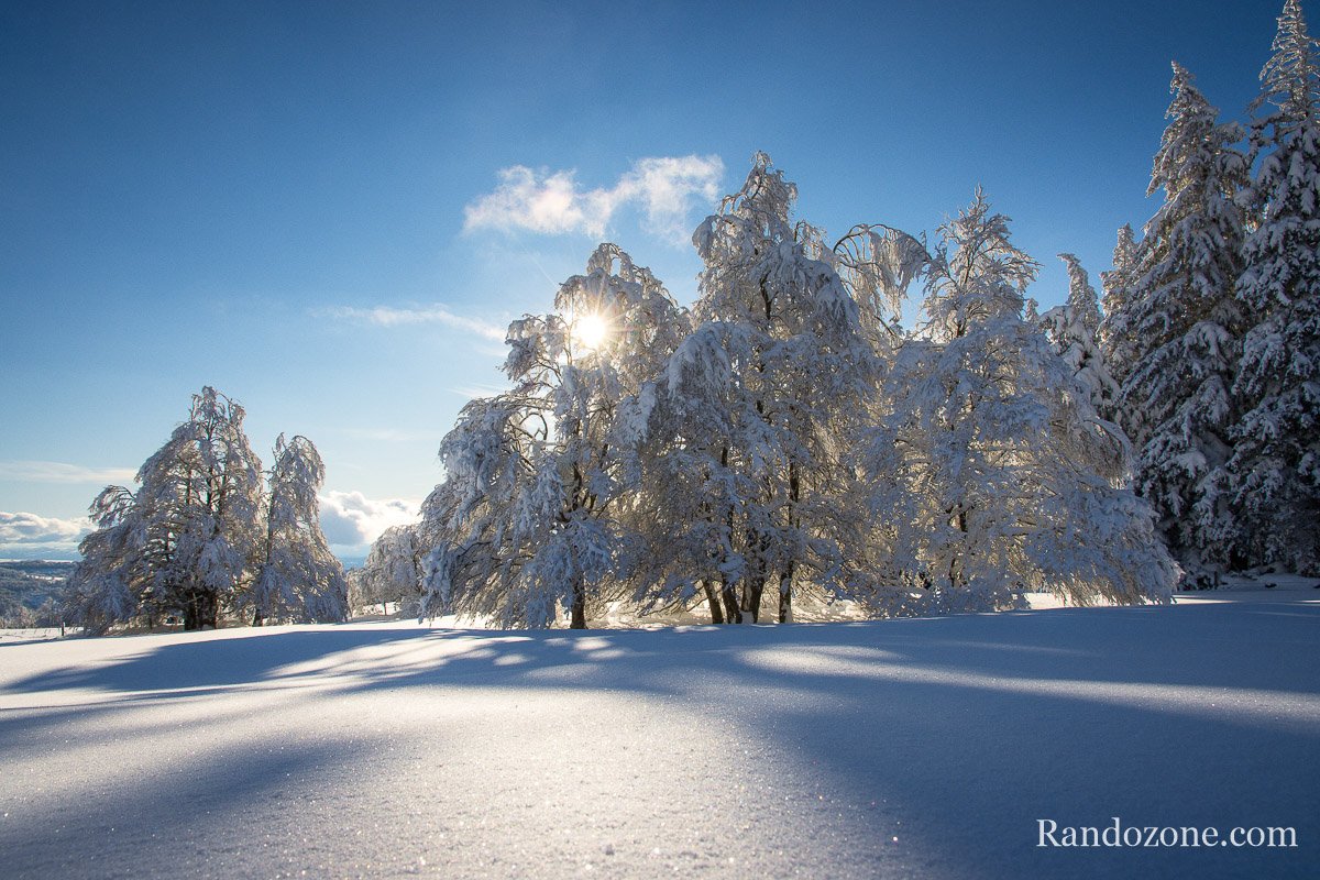 Balade aprs les fortes chutes de neige sur Aubrac
