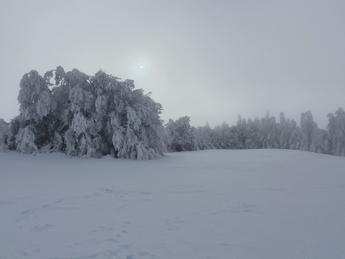 Sortie en raquettes  neige prs de Laguiole 