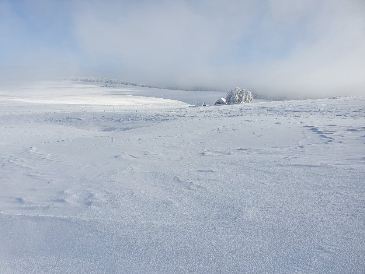 Au loin un buron enneig et les bois en direction de St Urcize