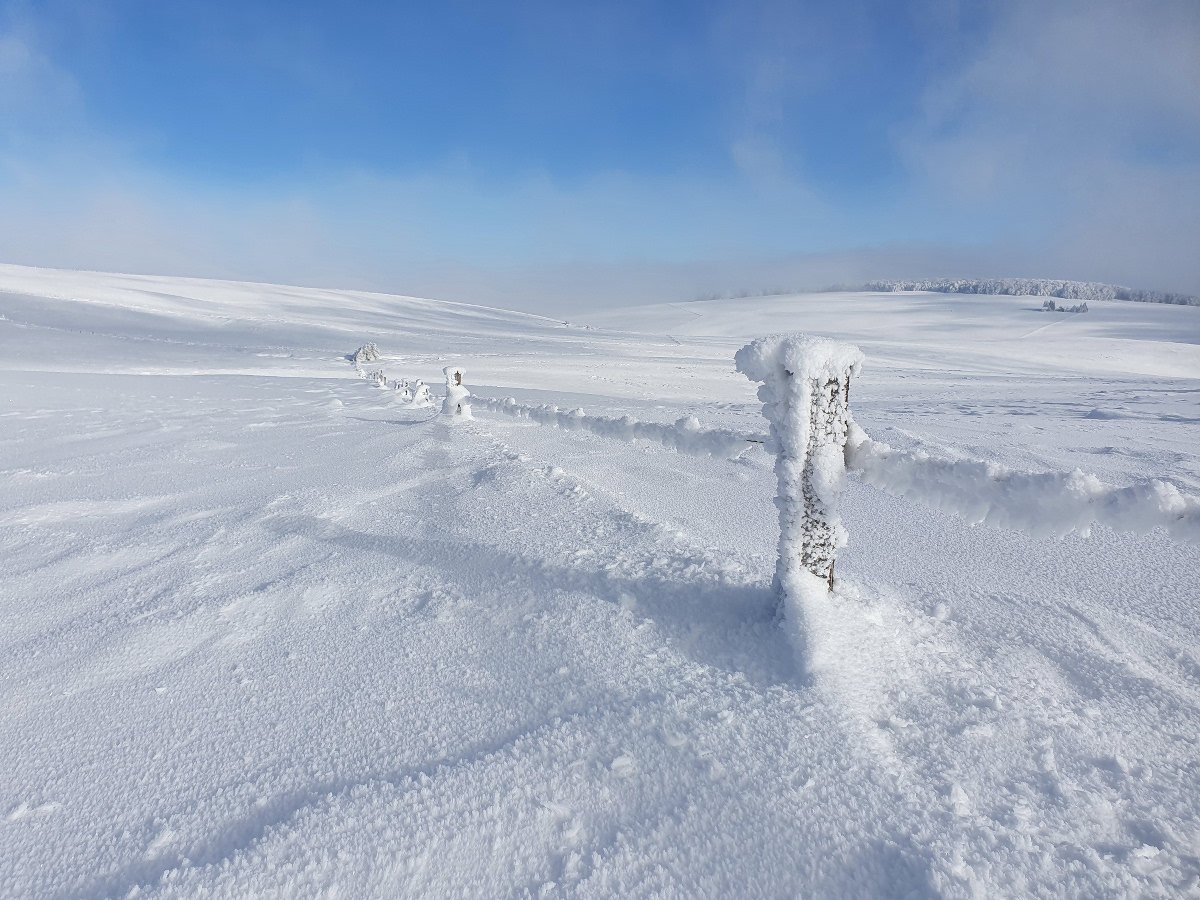 Passage de fils barbels en raquettes  neige