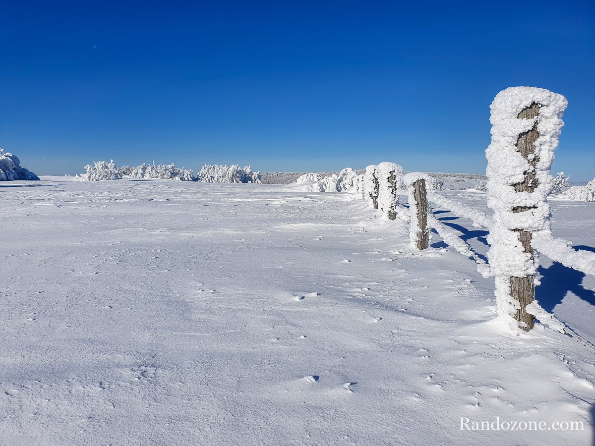 La draille de Germaine longe des clotures prises dans le gel et la neige