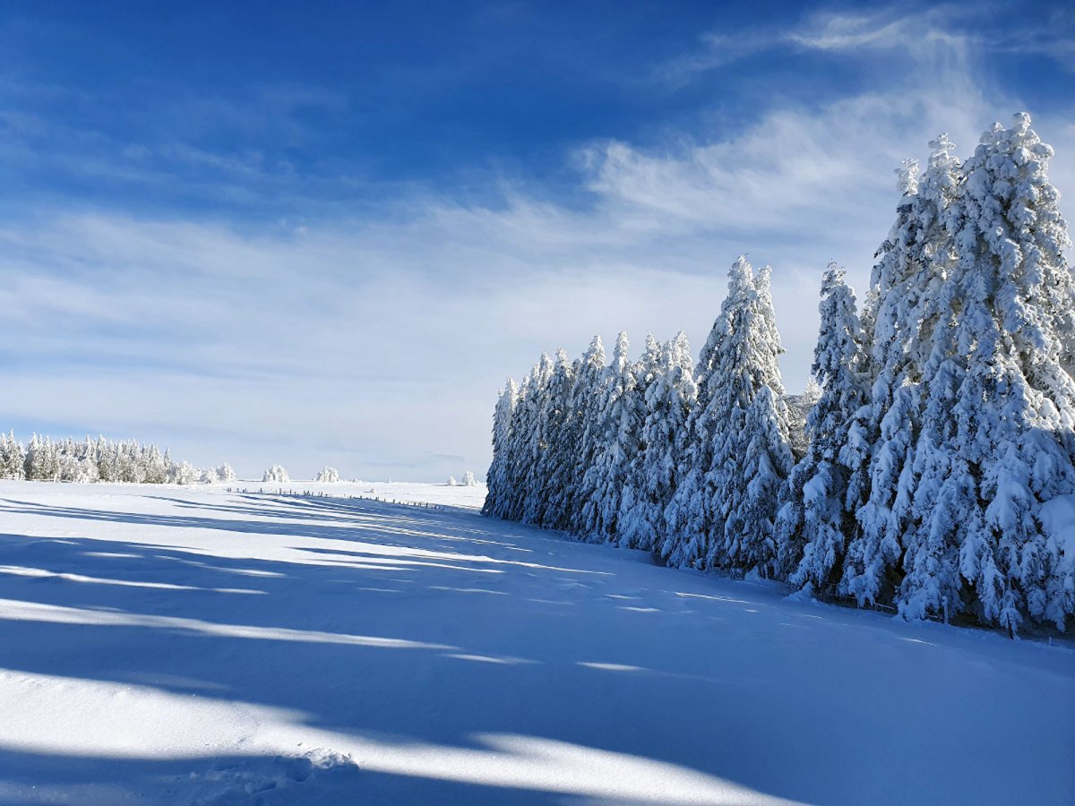 Randonne en raquettes  neige dans le nord Aveyron 