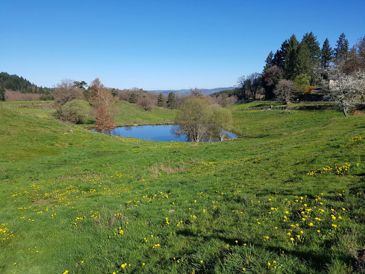 Paysage bucolique de printemps le long de notre randonne 