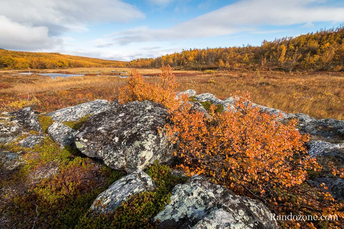 Des couleurs extraordinaires durant l'automne en Laponie