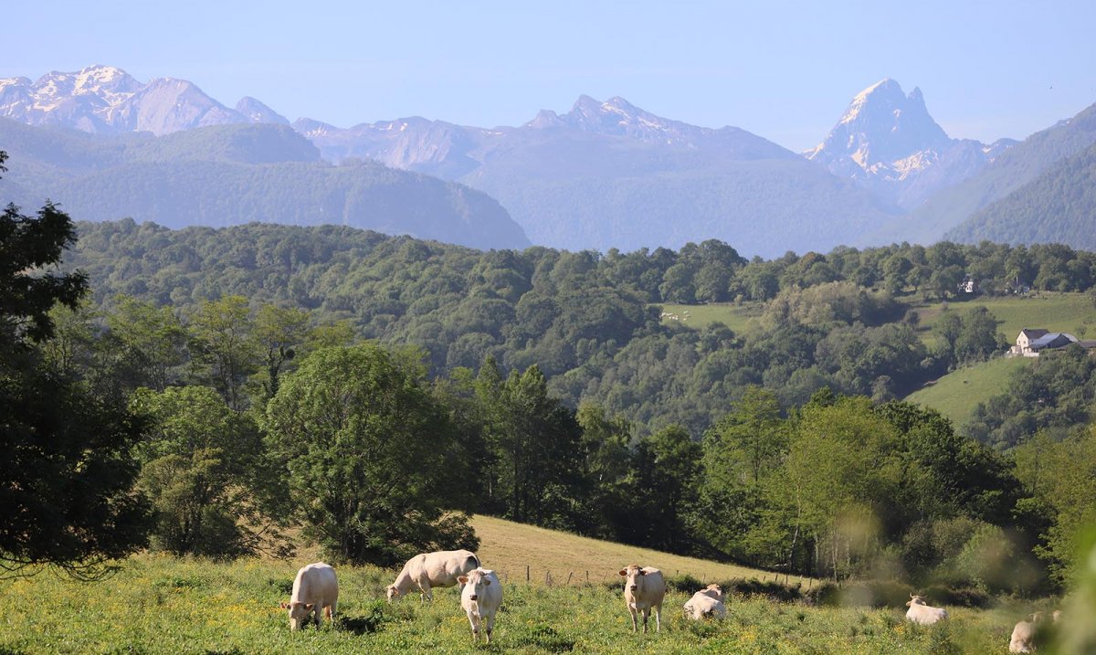 Aux environs de Rbnacq