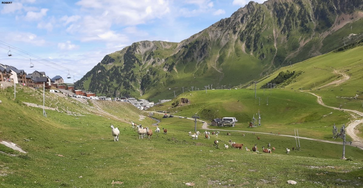 La(ma) Mongie Tourmalet