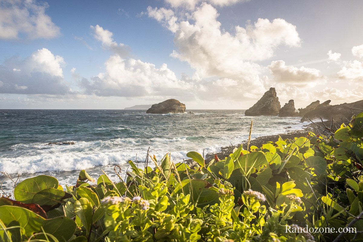 Balade au bord de la mer en Guadeloupe