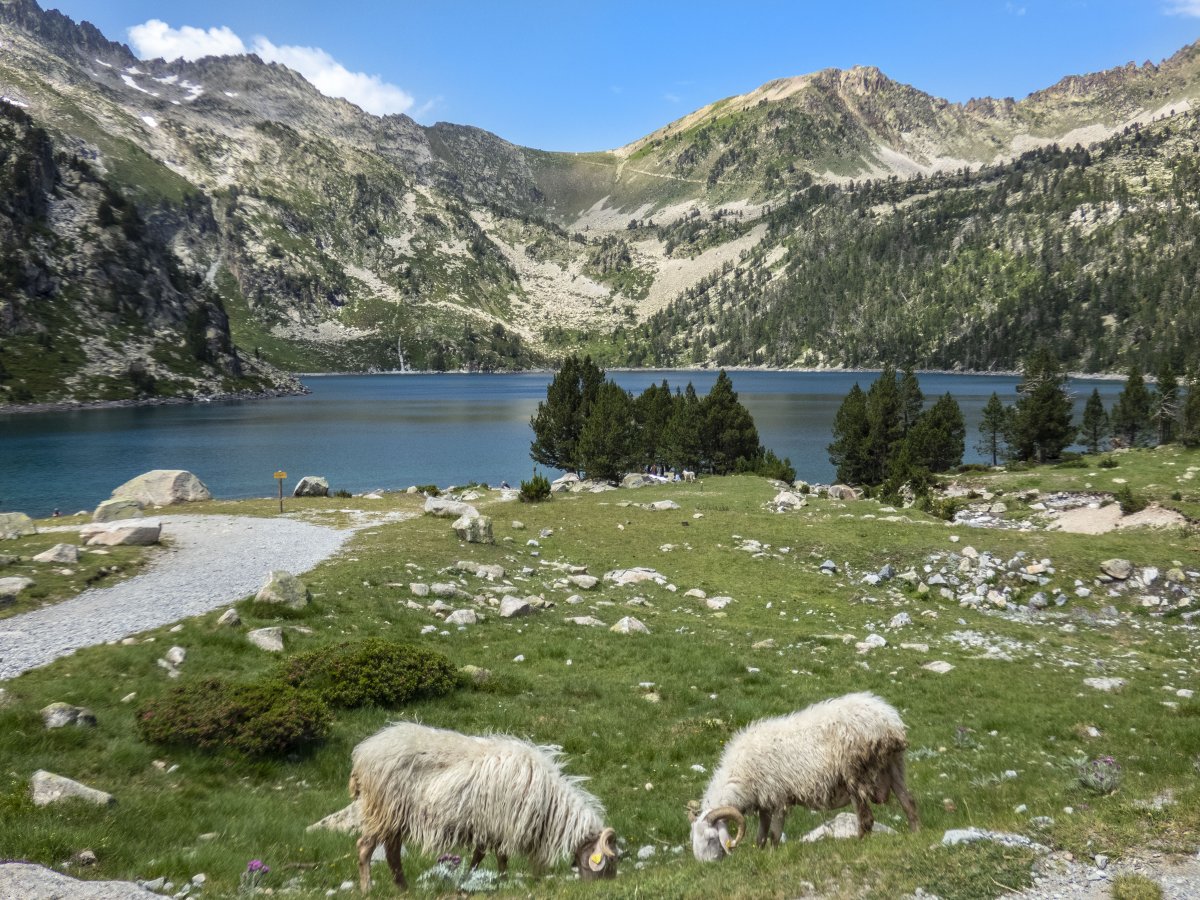 Lac d'Aubert