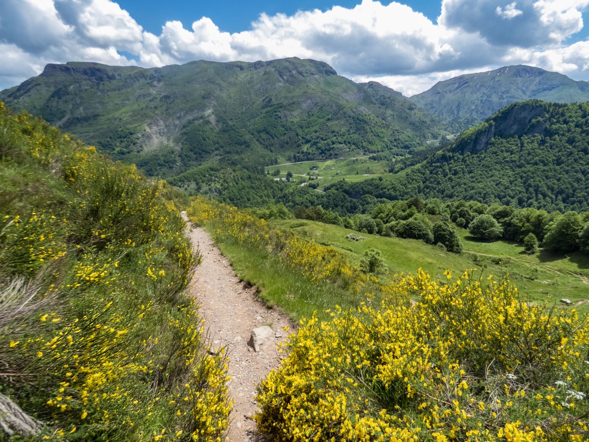Non loin du lac d'Estaens