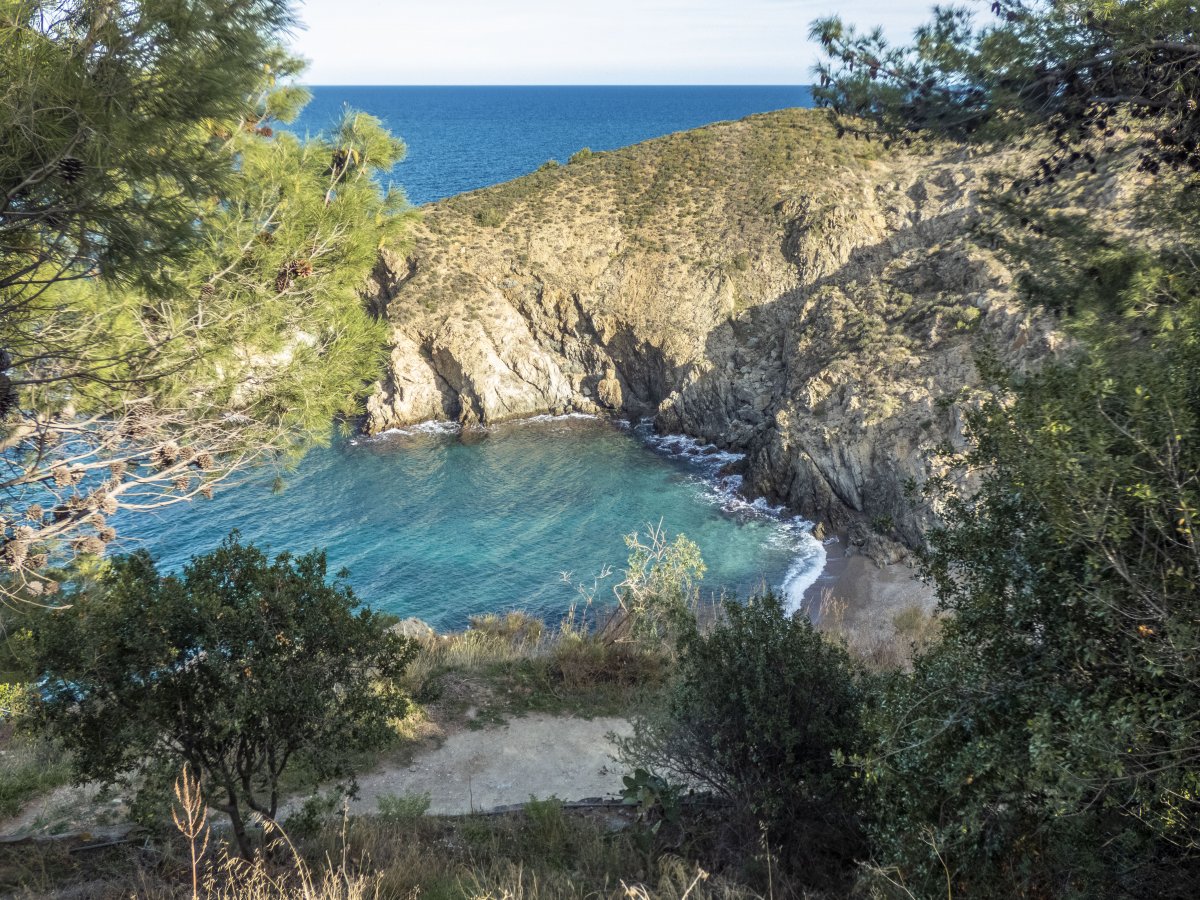 Rserve marine de Cerbre-Banyuls