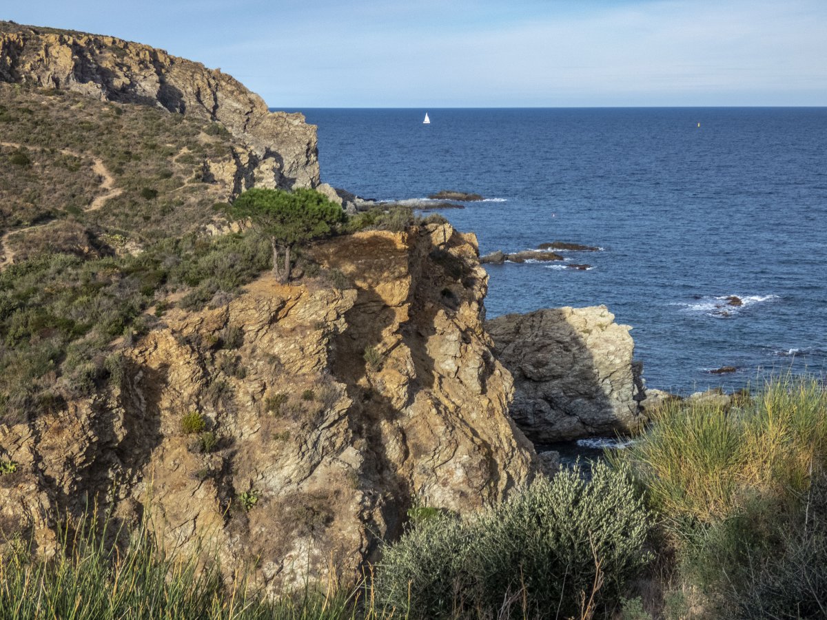 Rserve marine de Cerbre-Banyuls