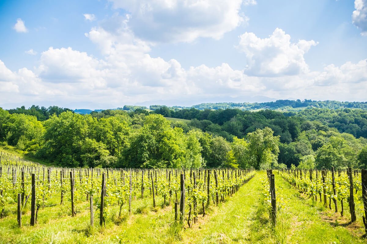 Saint Faust - vall&eacute;e de la Juscle