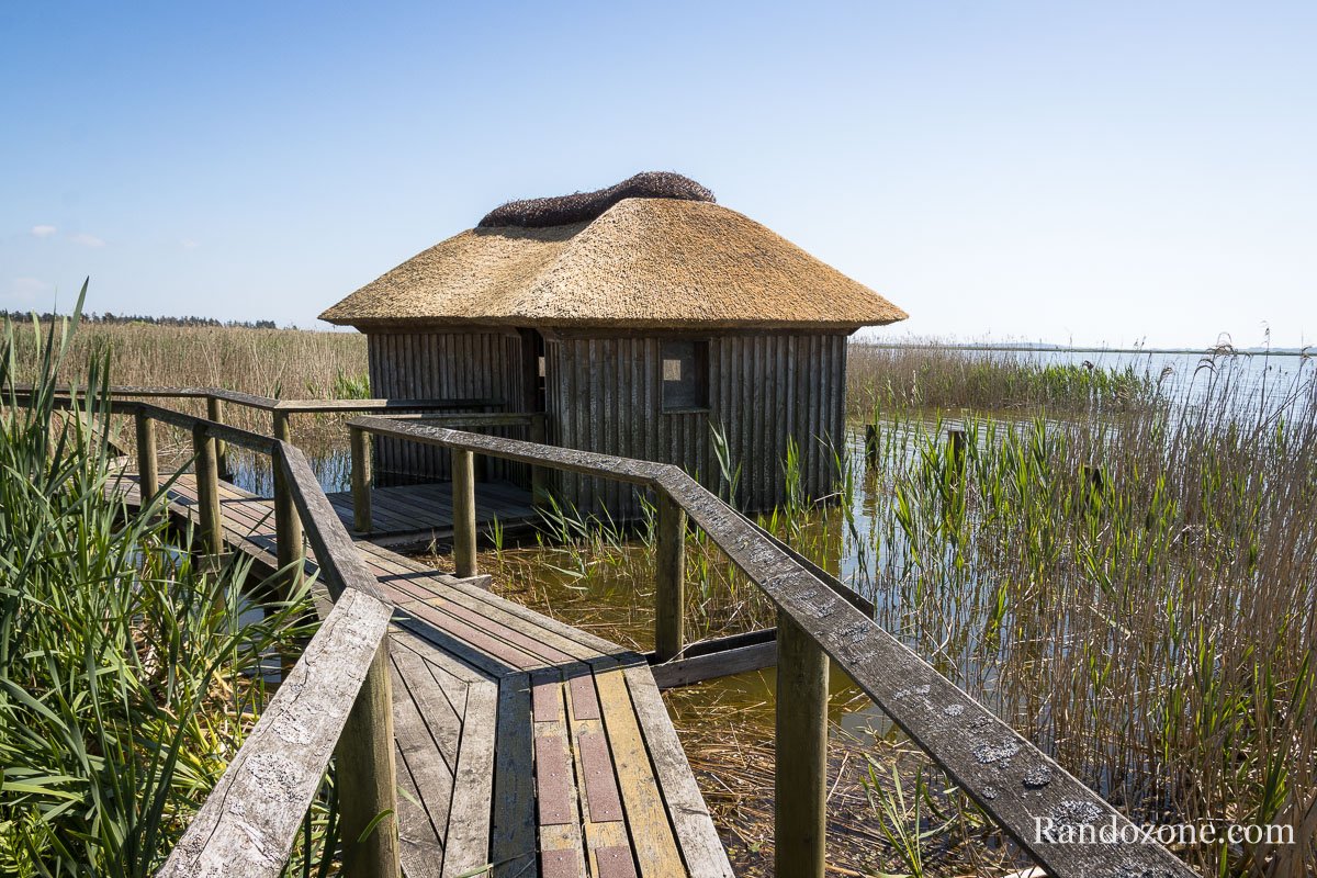 Une des maisons d'observation de la rserve de Vejlerne