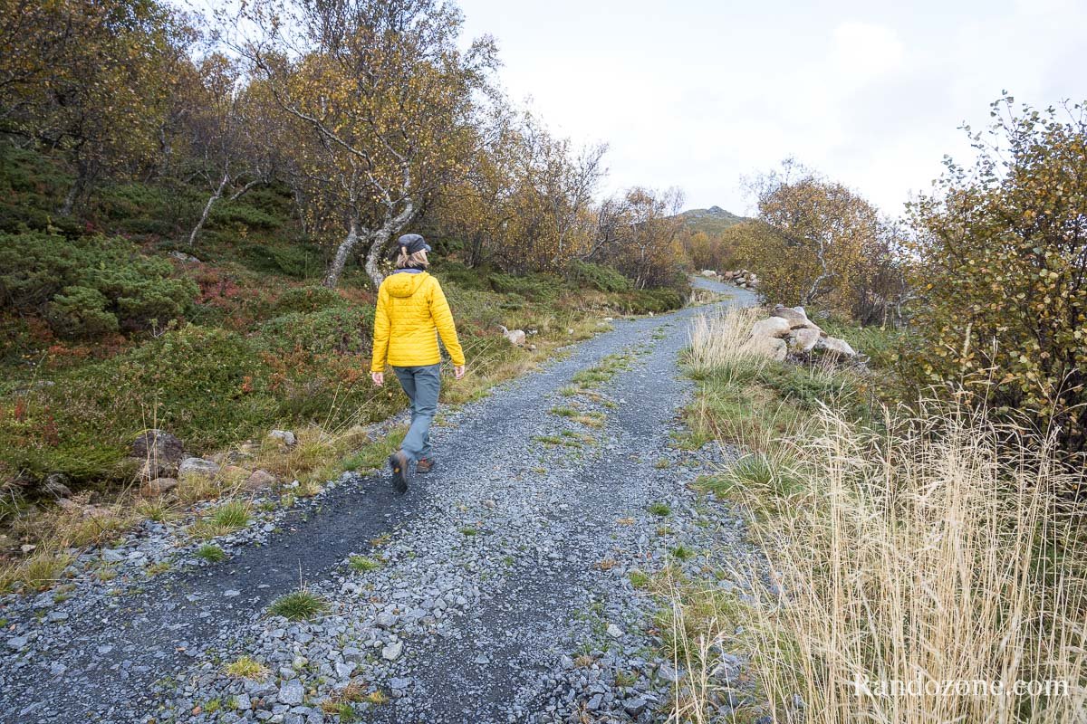Une bonne partie de la randonne se fait sur une piste en bon tat