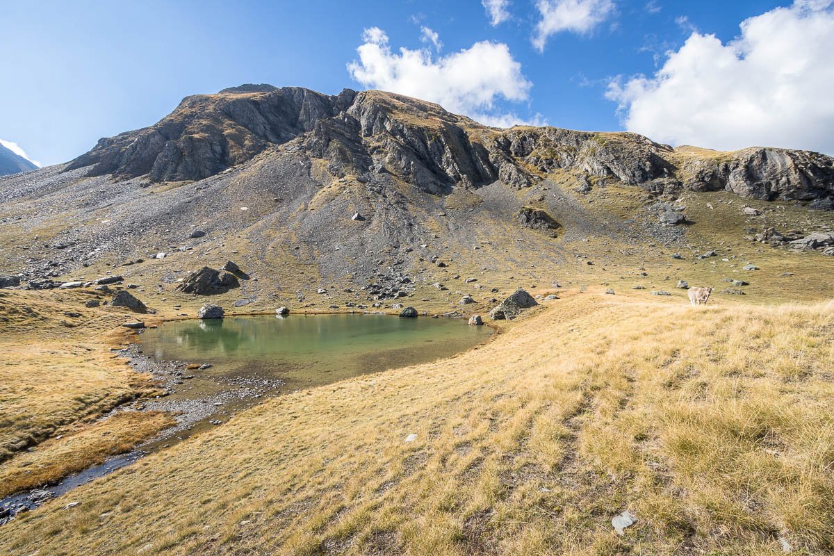 Découverte du magnifique lac du Cardal dans les Pyrénées