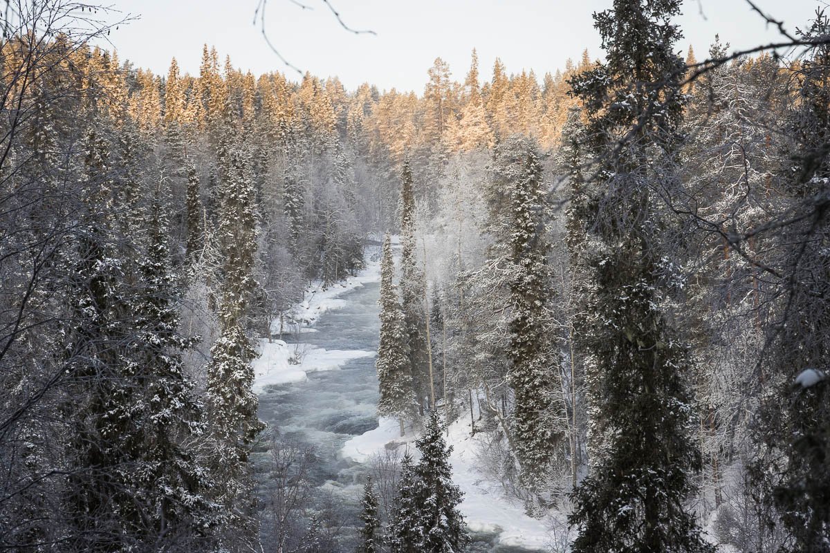 Apr�s une petite mont�e on a un superbe panorama sur la rivi�re